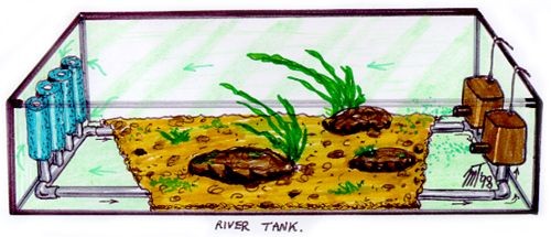 river tank