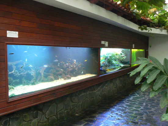 akvaria